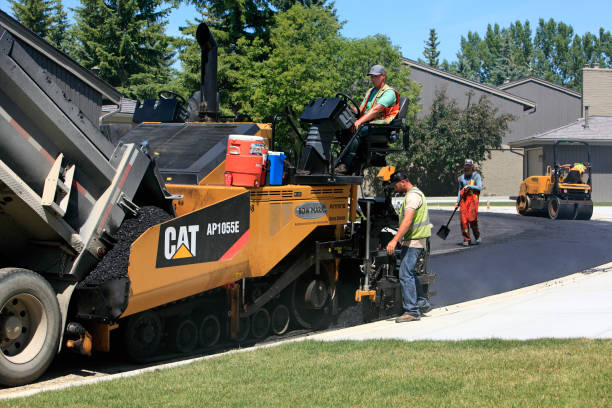 Best Driveway Pavers Near Me  in Savannah, GA